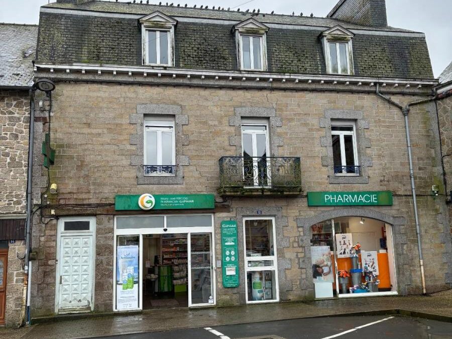 Vente Maison T11 de 291 m² à Rostrenen (22110)